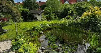 von_poll_real_estate_property_25443024_image_28