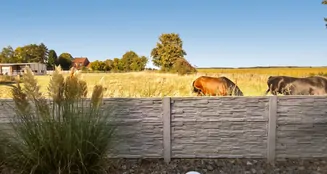 von_poll_real_estate_property_25443002_image_3