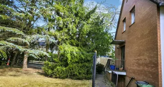 von_poll_real_estate_property_25443011_image_4