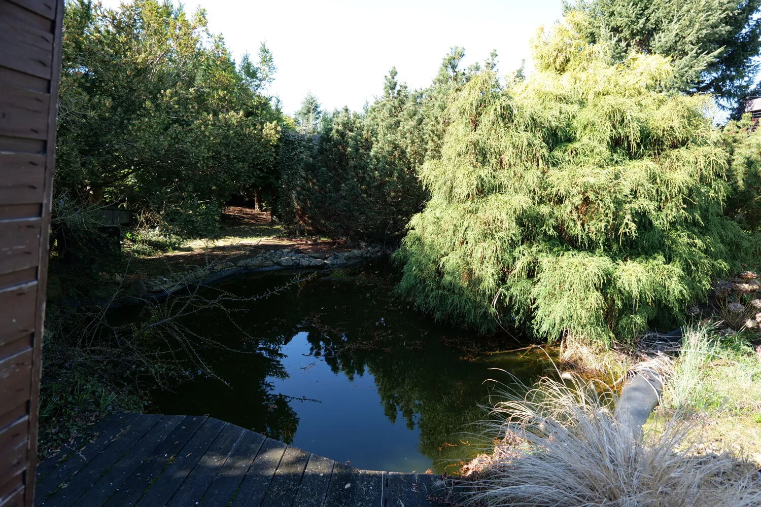 Teich