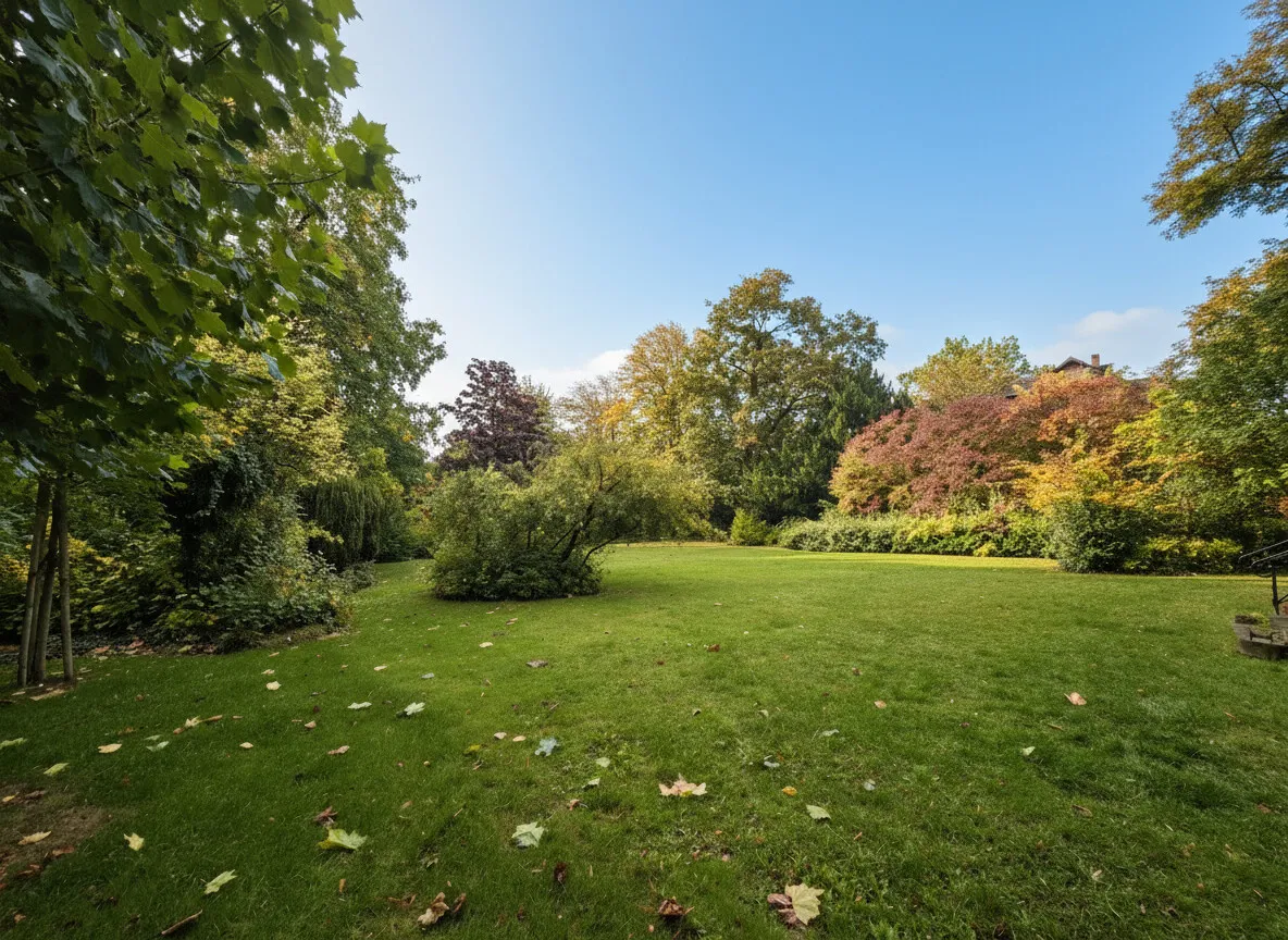 Parkimpression 1