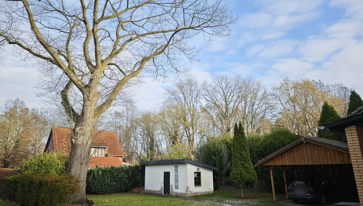 Nördlicher Gartenteil