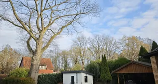 von_poll_real_estate_property_25443018_image_5