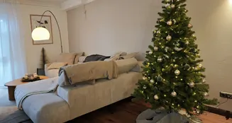 von_poll_real_estate_property_25443026_image_17