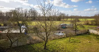 von_poll_real_estate_property_26443001_image_12