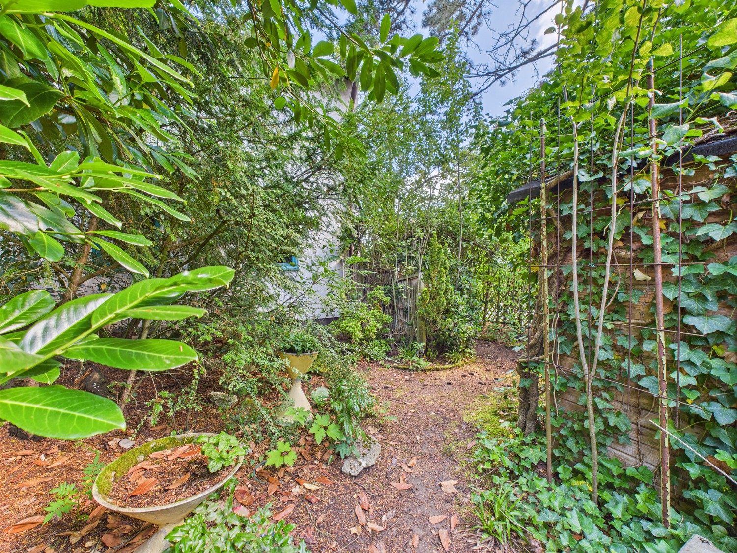 Garten mit Gartenhütte