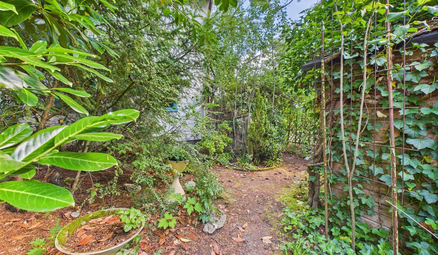Garten mit Gartenhütte