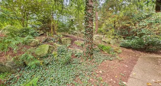 von_poll_real_estate_property_25431029_image_17