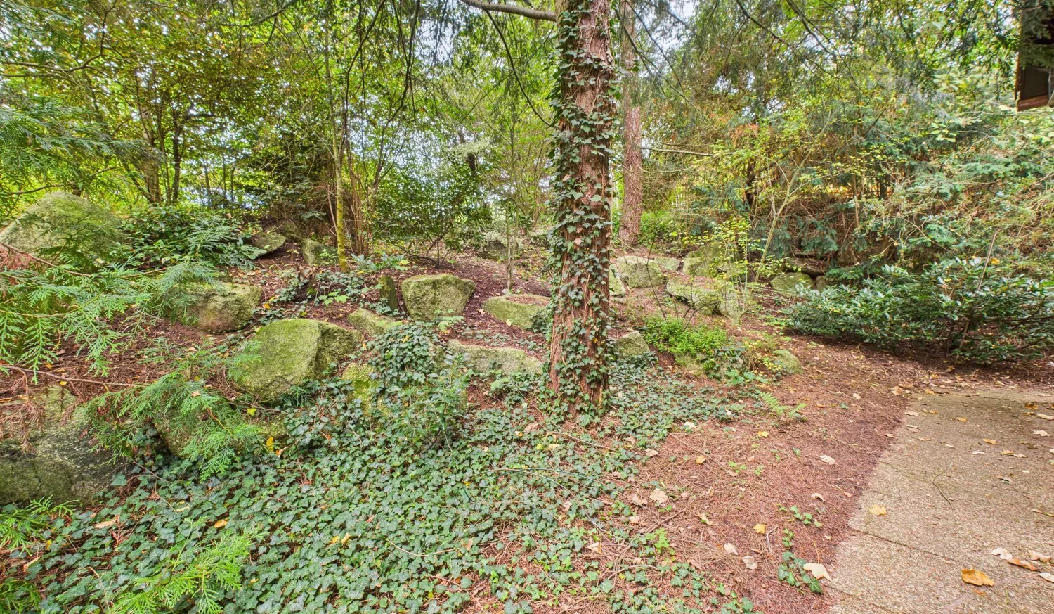 Blick in den Naturgarten