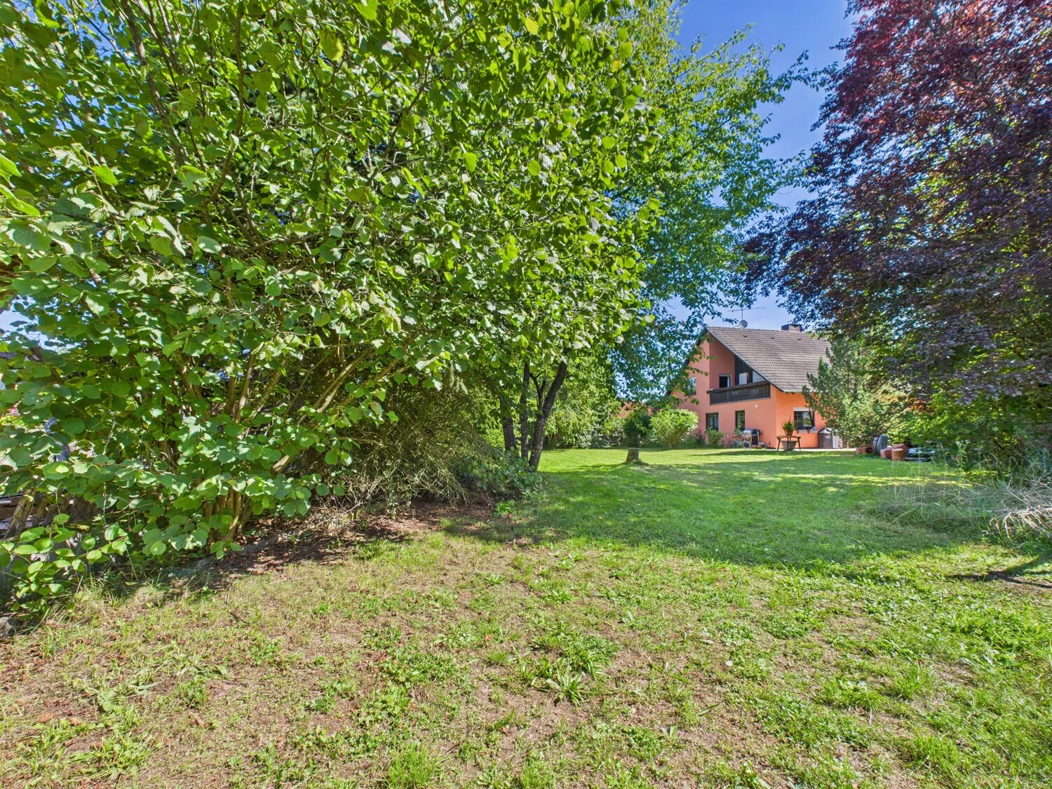 Weitläufiger Garten II