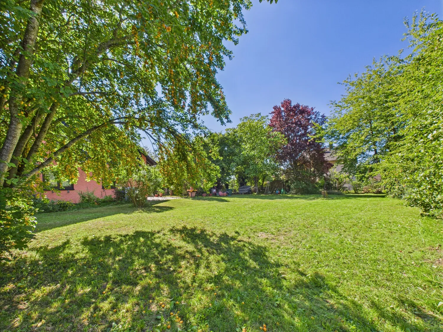 Weitläufiger Garten III