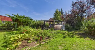 von_poll_real_estate_property_25431036_image_4