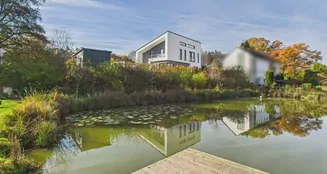 von_poll_real_estate_property_25431031_image_4