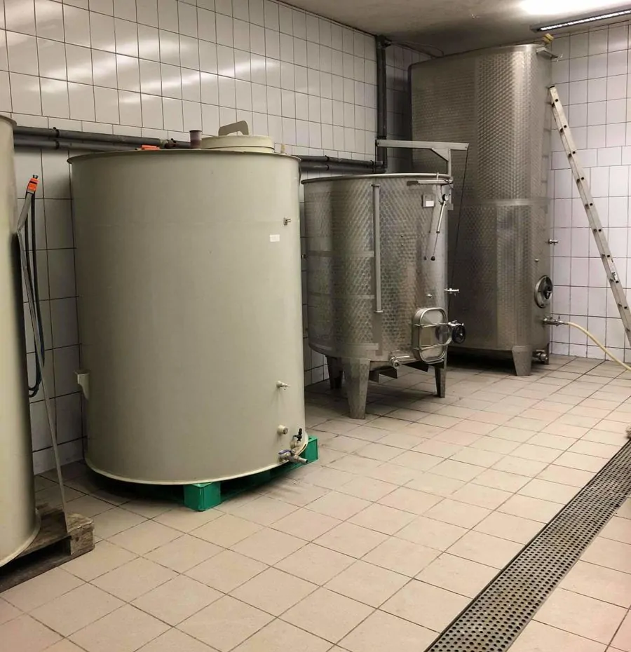 Borászat és szőlő Mádon, a Tokaji borvidéken