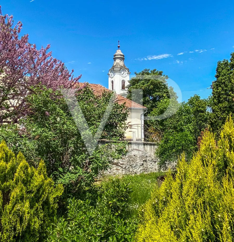 F88E45C5-E047-4BD9-8902-4BD535C1BA14