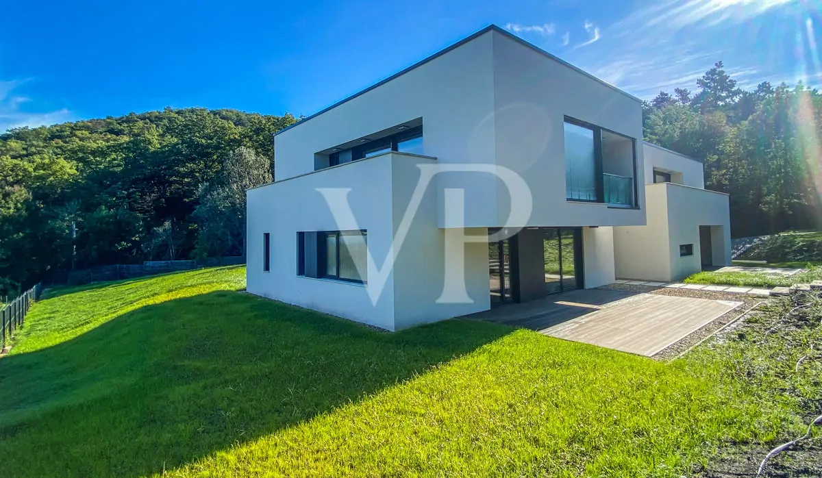 DC216C74-FACE-4082-80A6-69478E04ED2C