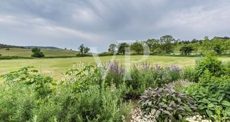 von_poll_real_estate_property_HU23439370_image_30
