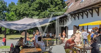 von_poll_real_estate_property_HU23439385_image_17