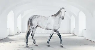 von_poll_real_estate_property_HU23439385_image_0