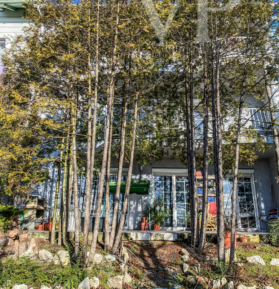 73CD5B0F-0EE7-4B59-9F3D-AE1293DA4D3C