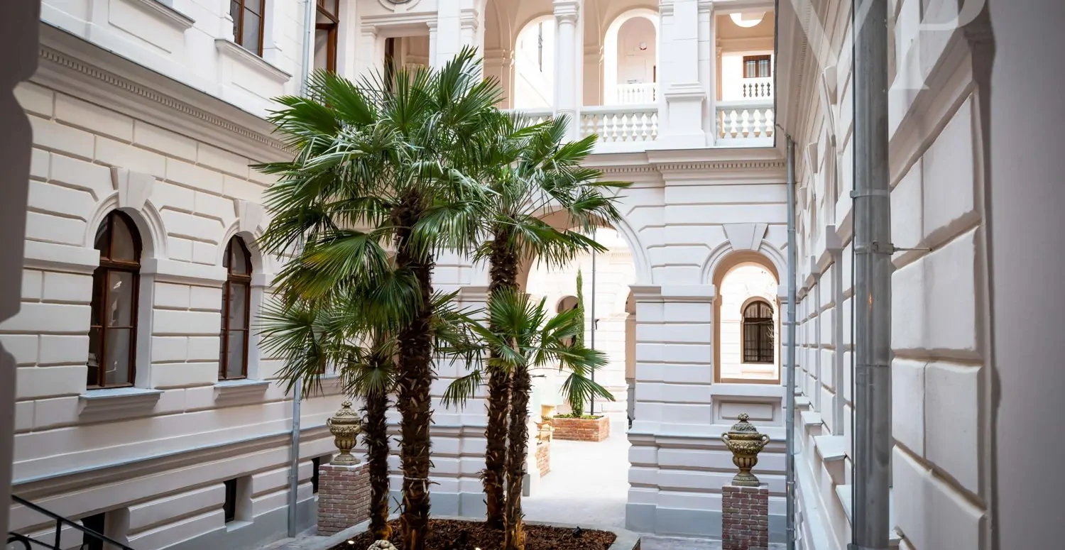 20230323-134938-IMG_8868