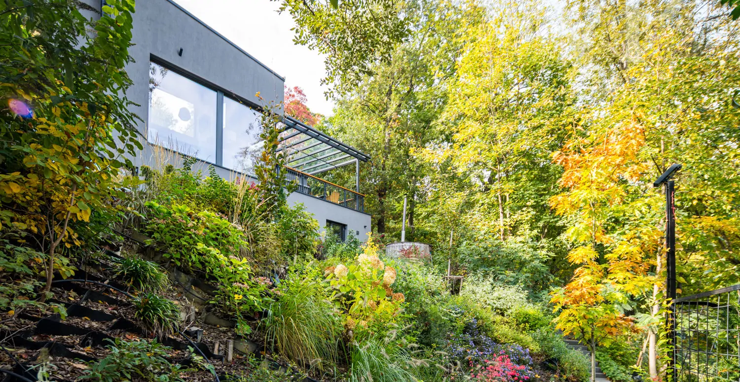 BT_20241017_Csillagvolgyi_606