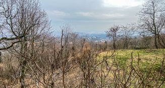 von_poll_real_estate_property_HU25439518_image_8
