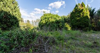 von_poll_real_estate_property_HU25439548_image_22