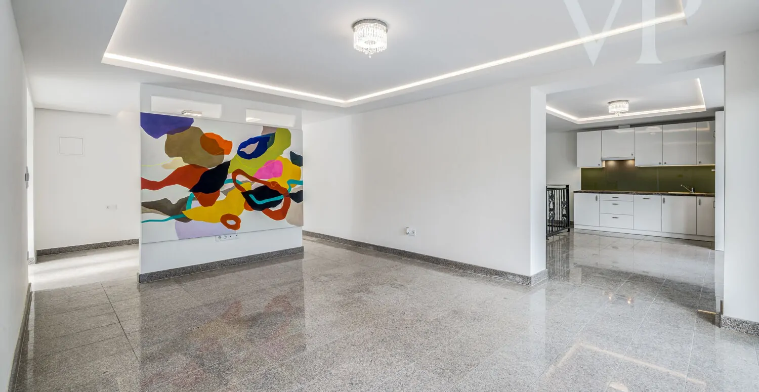 240912_2_BZ_Zengo_014