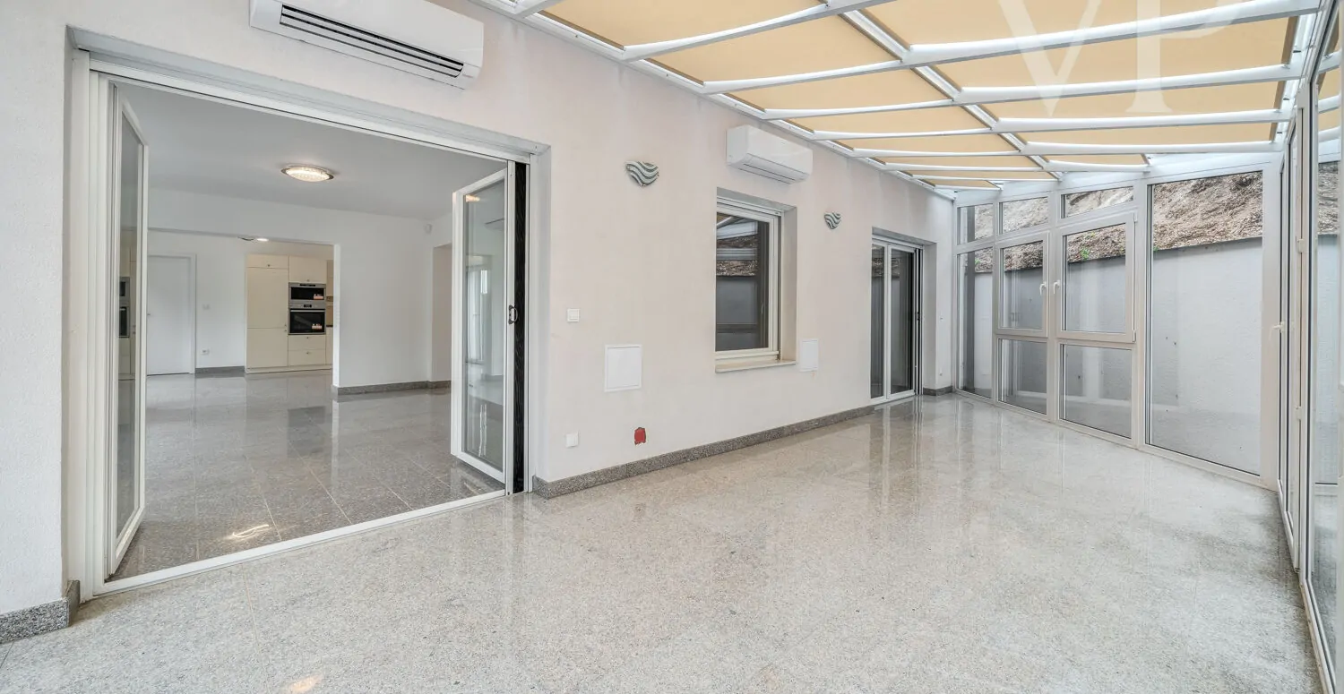 240912_2_BZ_Zengo_033