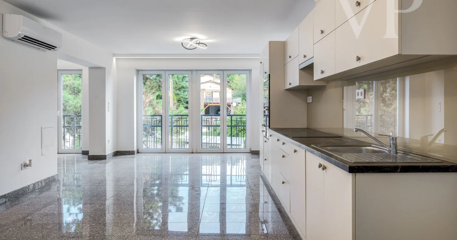 240912_2_BZ_Zengo_021