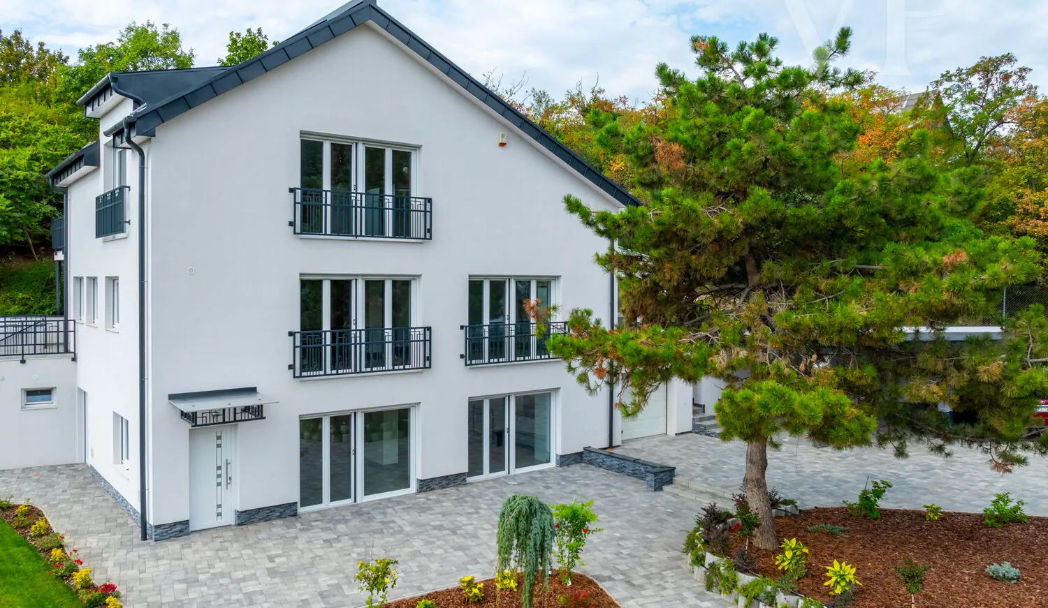 240912_2_BZ_Zengo_050