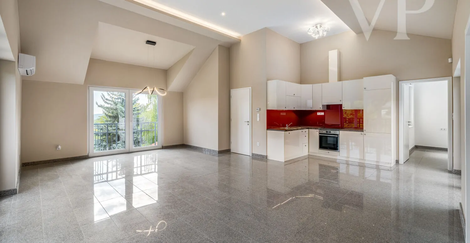 240912_2_BZ_Zengo_005