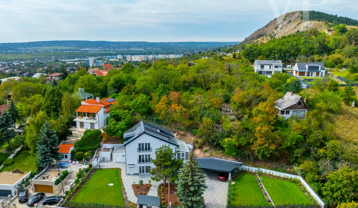 240912_2_BZ_Zengo_056