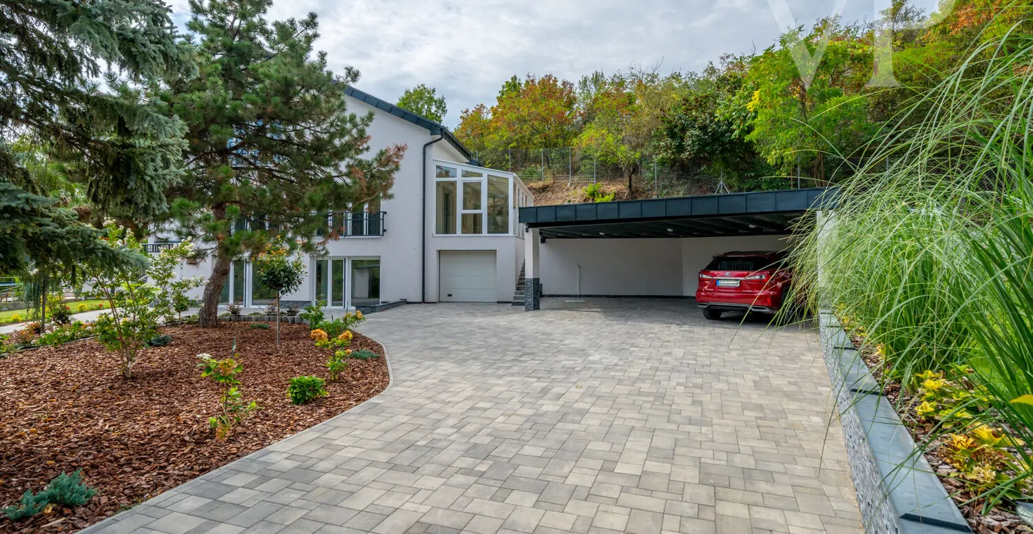 240912_2_BZ_Zengo_046