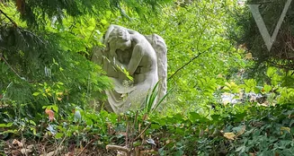 von_poll_real_estate_property_HU25439596_image_12