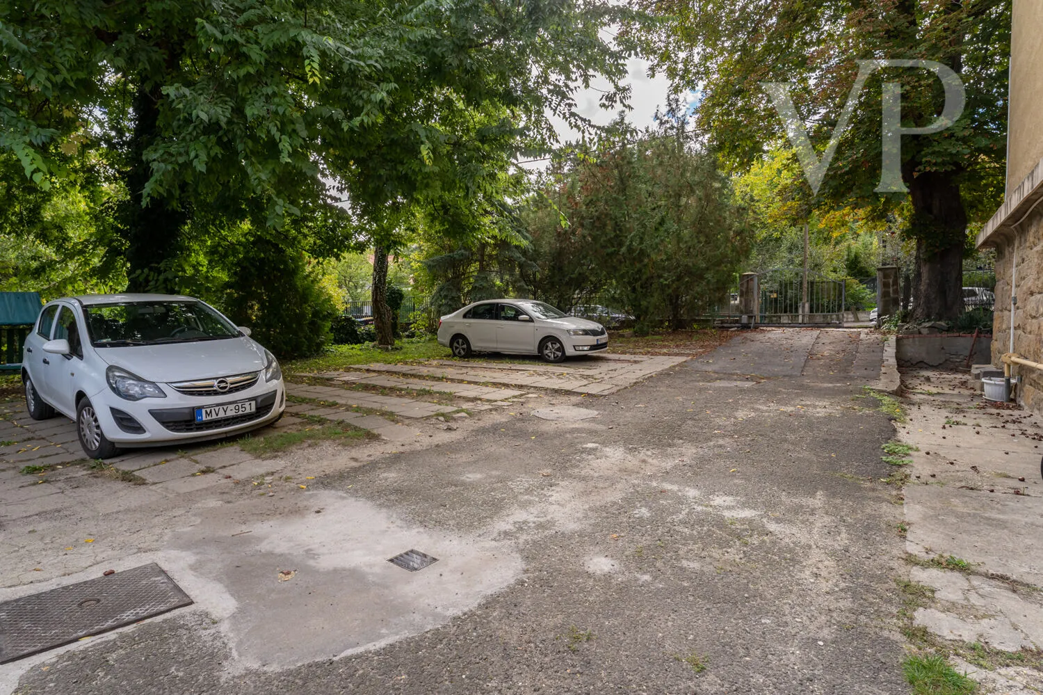 _DSC7835