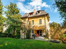 33786115_226795513_m(1)