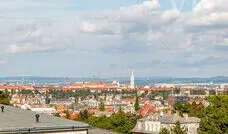 33786115_226795329_m