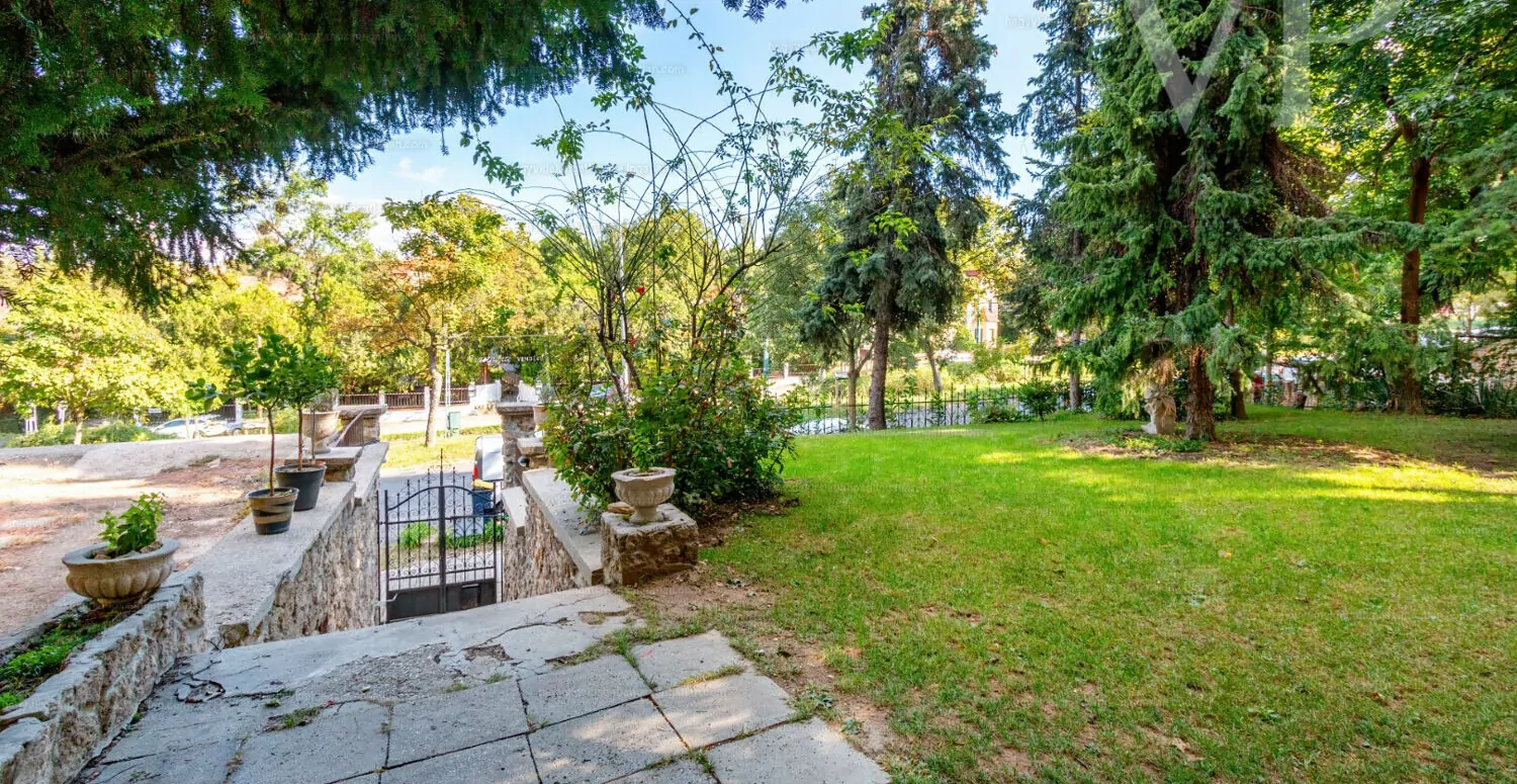 33786115_226795516_hd