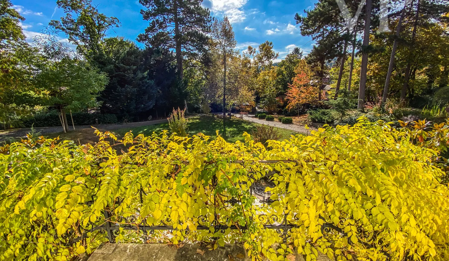 B116E025-E611-4F17-8F81-2218B5C03FE7