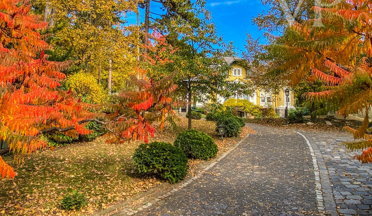 A8D1CE76-E2DC-4A37-8705-9FF06DCED5B9