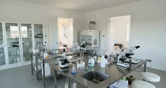 von_poll_real_estate_property_HU26439691_image_53