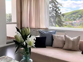 Fény, tér, ikonikus budai villa – körpanorámás lakás Pasaréten