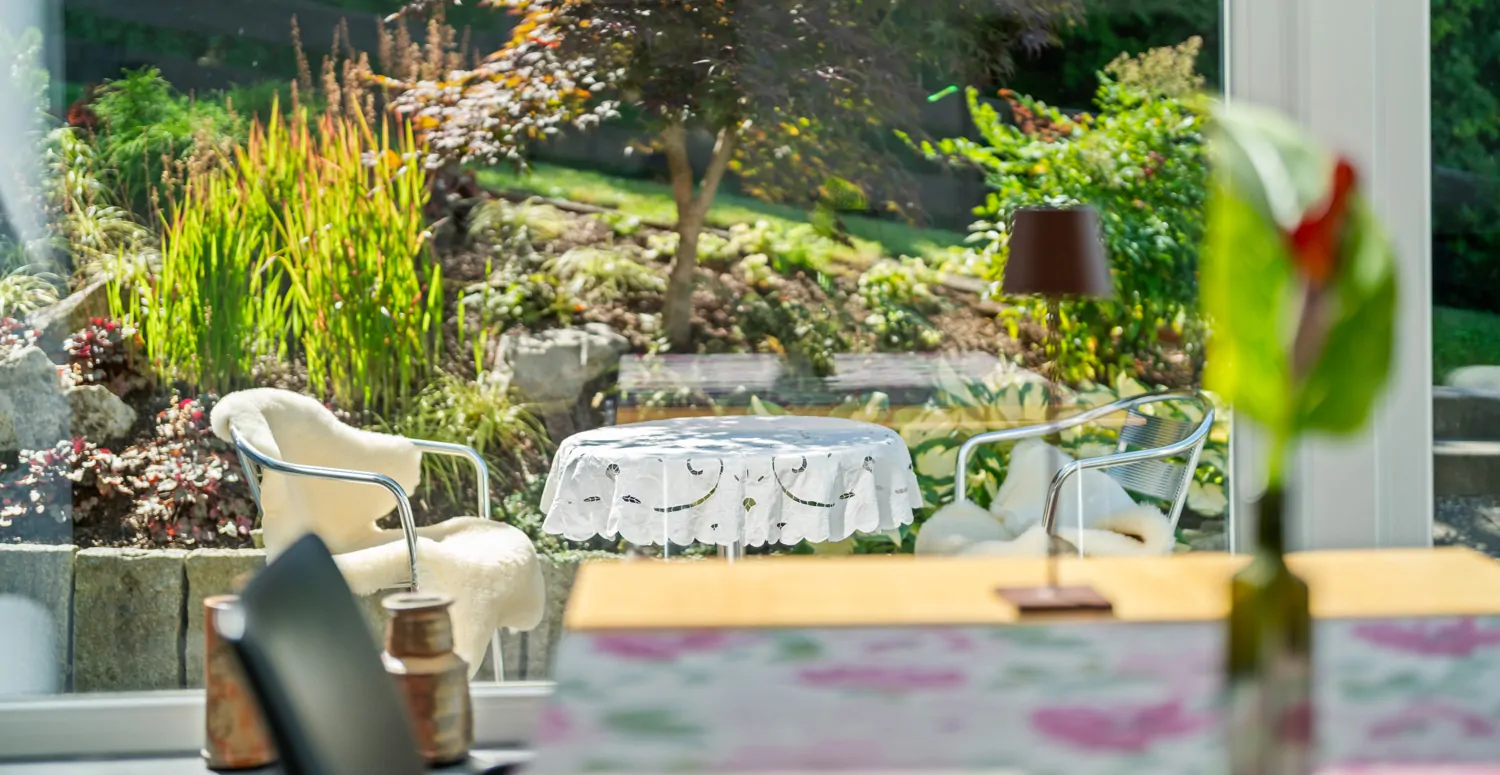 Blick in den neu angelegten Garten