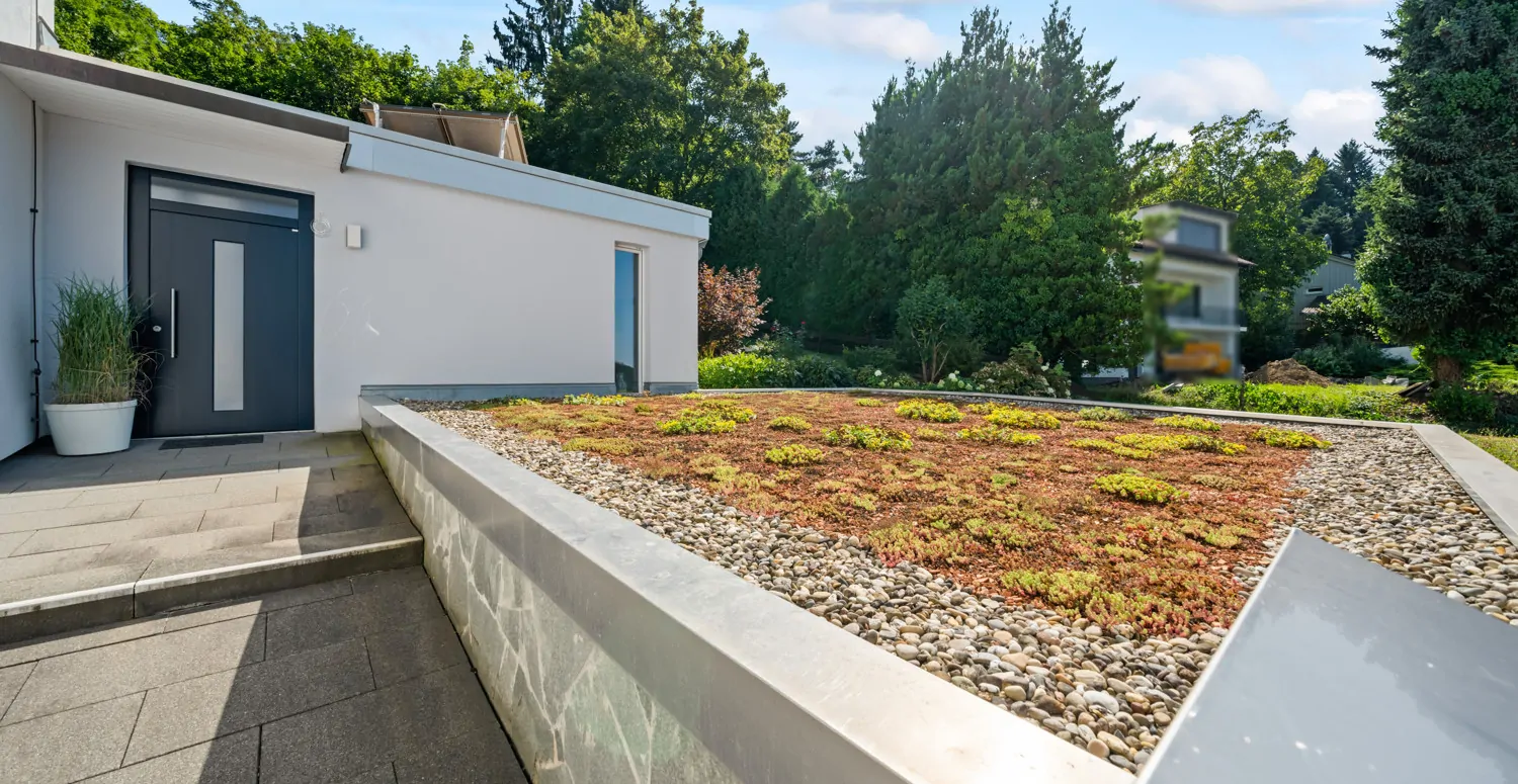 Blick über das begrünte Garagendach