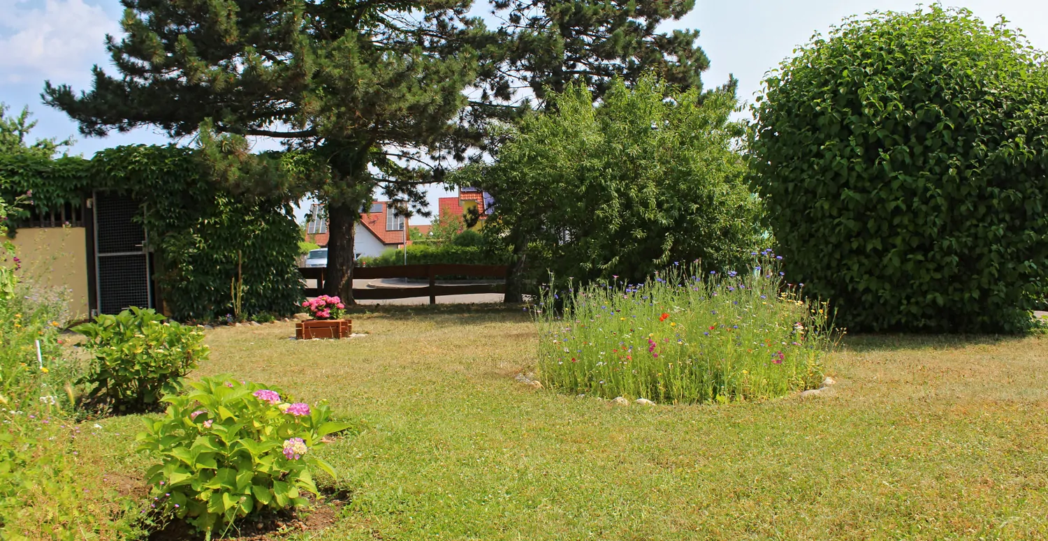 Außenbereich / Gemeinschaftsfläche