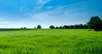 von_poll_real_estate_property_25429020_image_0