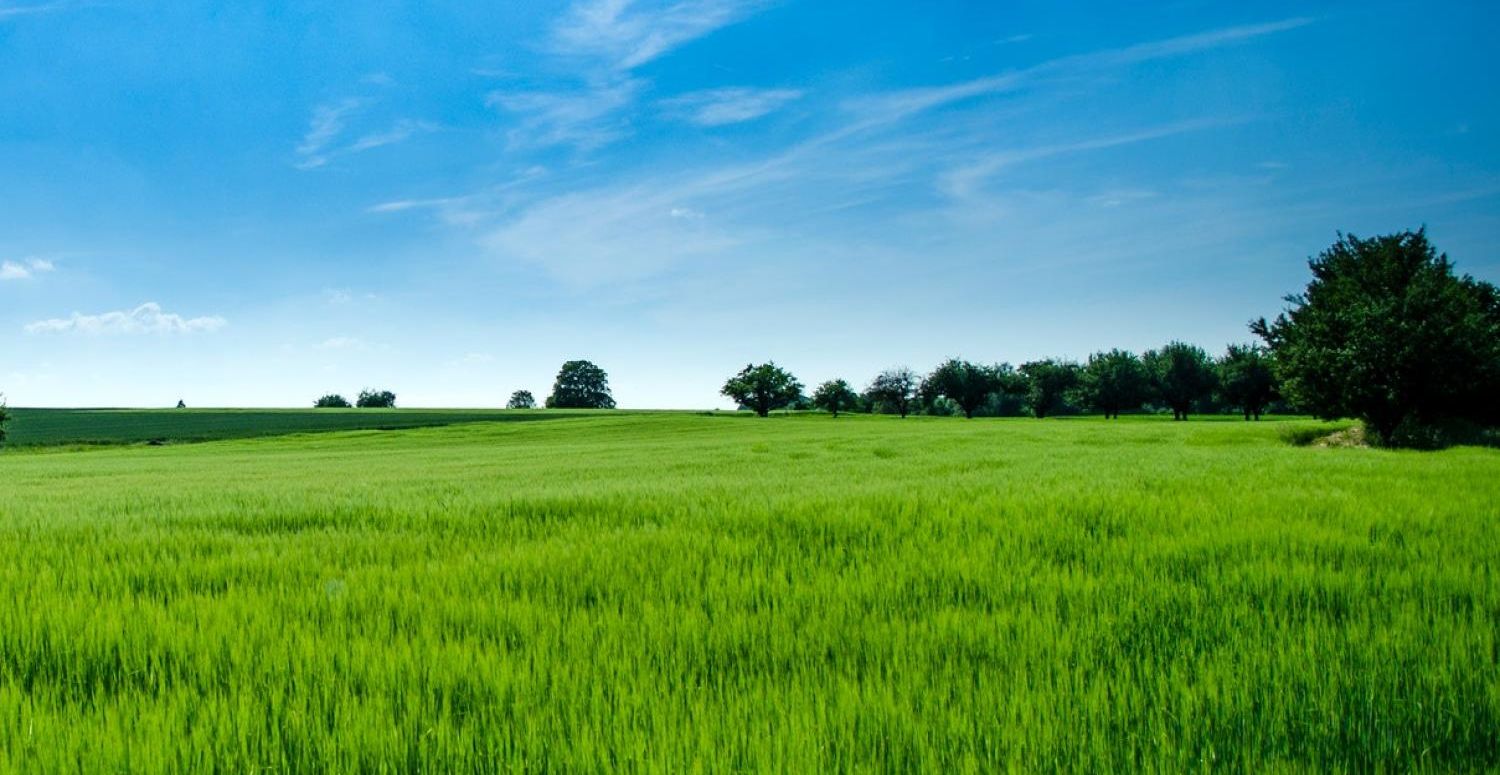 Grundstück mit VP Rahmen Gras