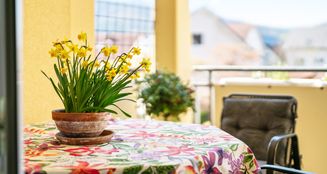 von_poll_real_estate_property_25429060_image_1